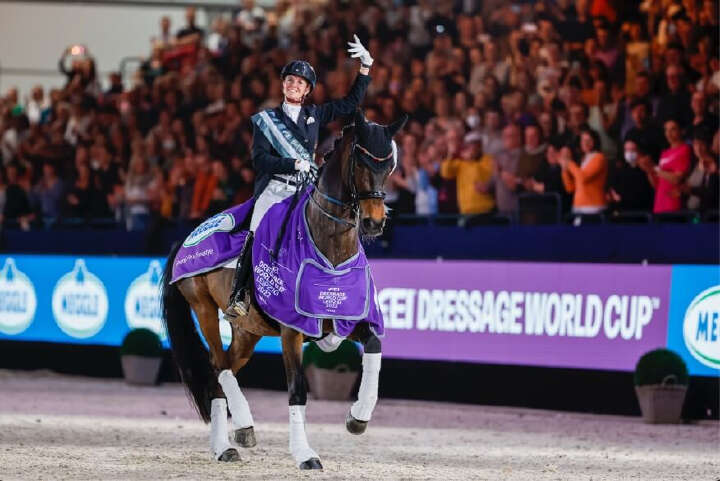 Derby Kat Community Team Trakehner banner Derby Kat Community Team Trakehner banner